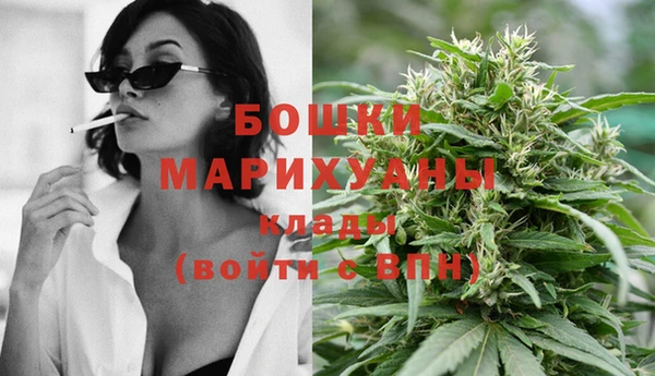 spice Касимов