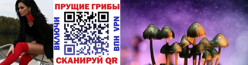 Псилоцибиновые грибы мухоморы Болохово