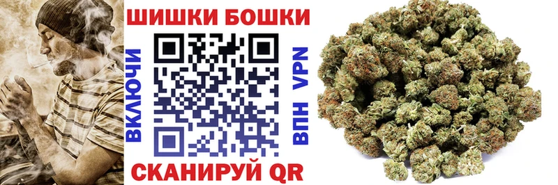 Купить закладки  Болохово  Конопля индика 